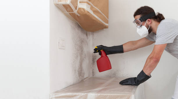 Professional Attic Mold Remediation technician working in Aspers, PA