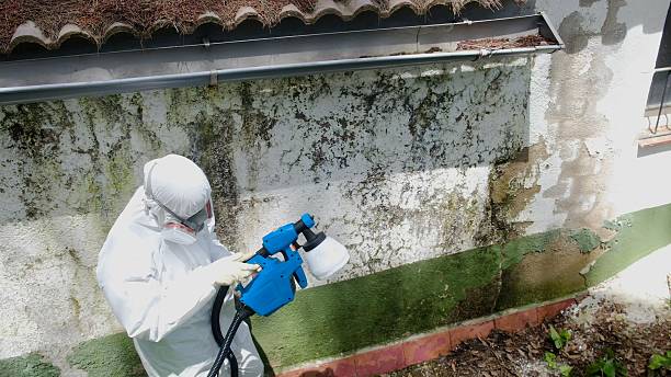 Top rated local Attic Mold Remediation specialists in Aspers, PA